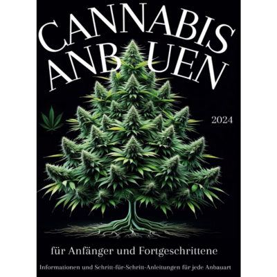 Cannabis Buch 3